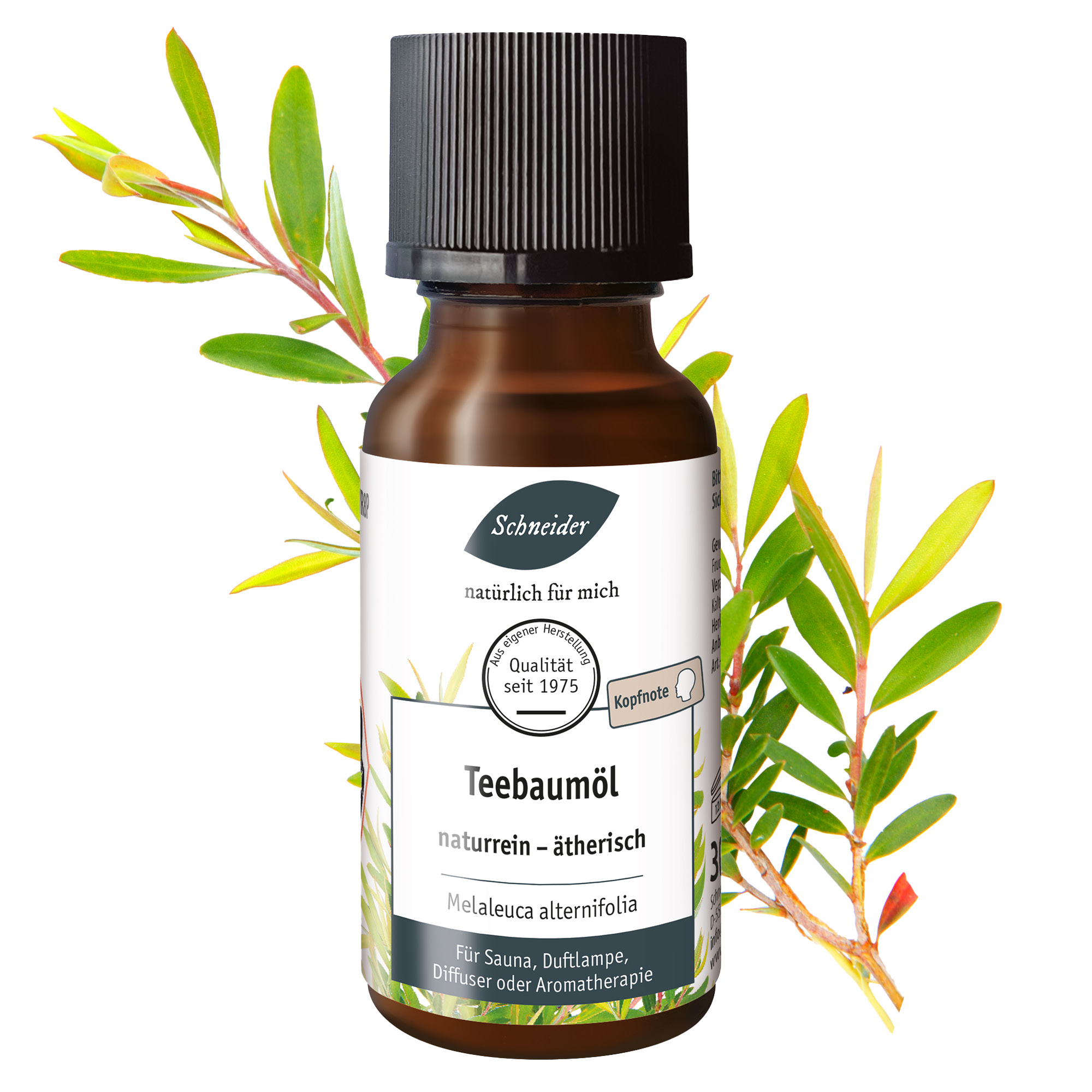Ätherisches Öl Teebaum