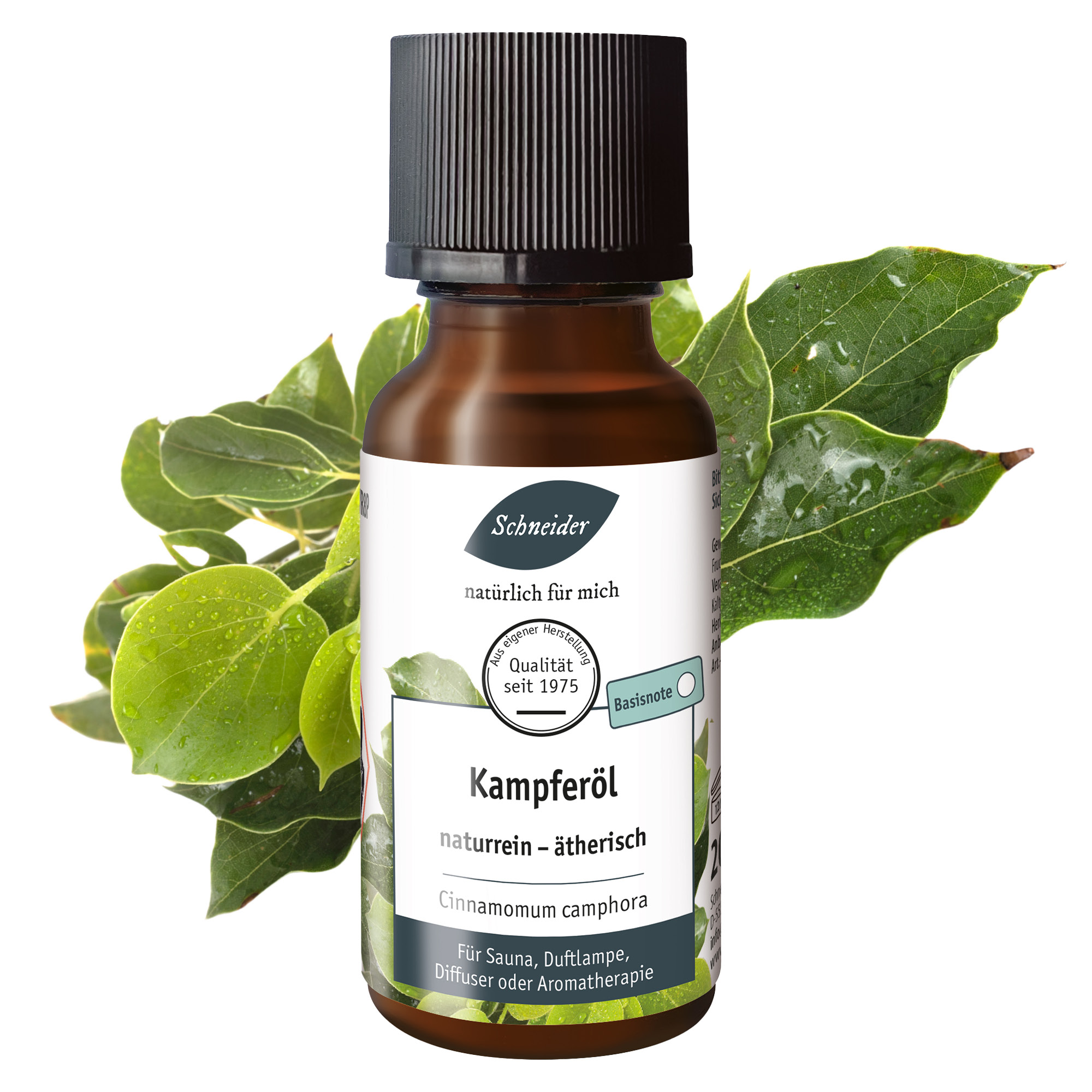 Ätherisches Öl Kampfer 20ml