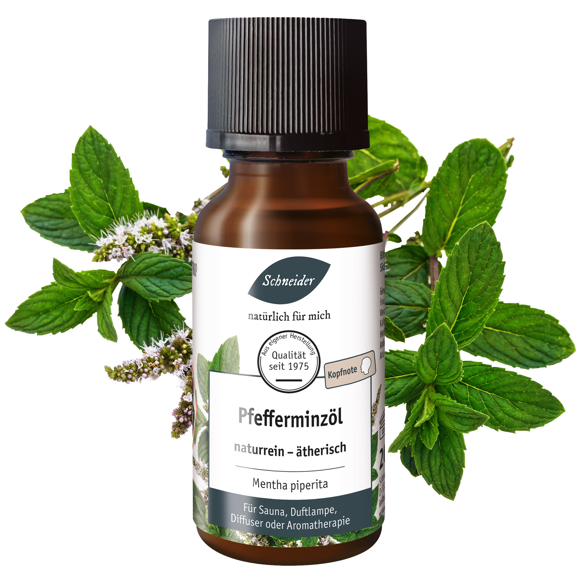 Ätherisches Öl Pfefferminze 20ml